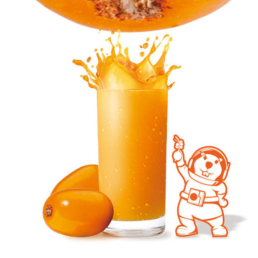 棘乐星球沙棘原浆500ml 商品图1