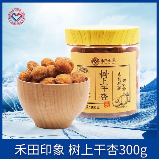 禾田印象树上杏干300g 商品图0