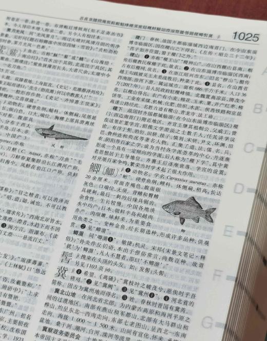 《辞海》第七版缩印本，大16开，精装，陈至立主编，上海辞书出版社2022年一版二印，3488页，定价600，售价240元。 商品图8