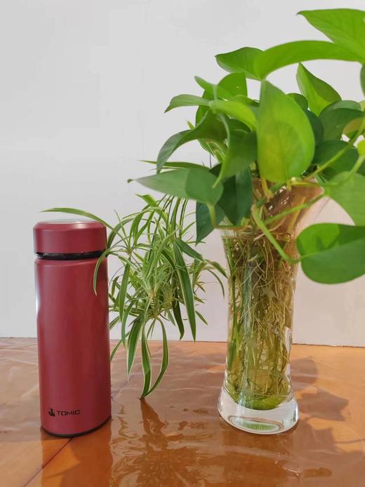 7F 荣品  特美刻保温杯 商品图0