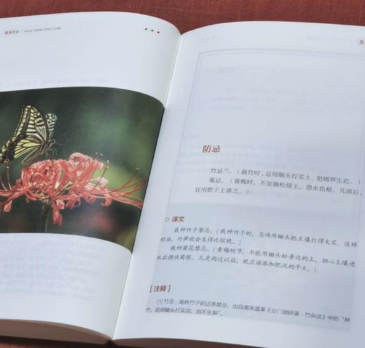 中国历代花经丛书两种：《花佣月令》《花木小志》，布脊精装，[明]徐石麒、谢堃著，湖北科学技术出版社2018年一版一印，222+228页，定价68、68，两册定价136，售价：48元。 商品图8