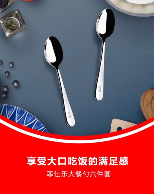 菲仕乐大餐勺六件套 商品图1