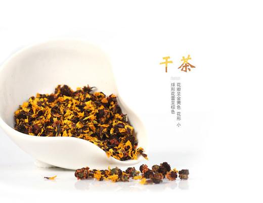 西域印象昆仑蓝色圆饼雪菊2.1g*12 商品图1