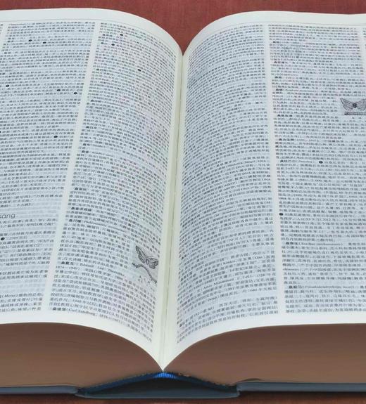 《辞海》第七版缩印本，大16开，精装，陈至立主编，上海辞书出版社2022年一版二印，3488页，定价600，售价240元。 商品图10