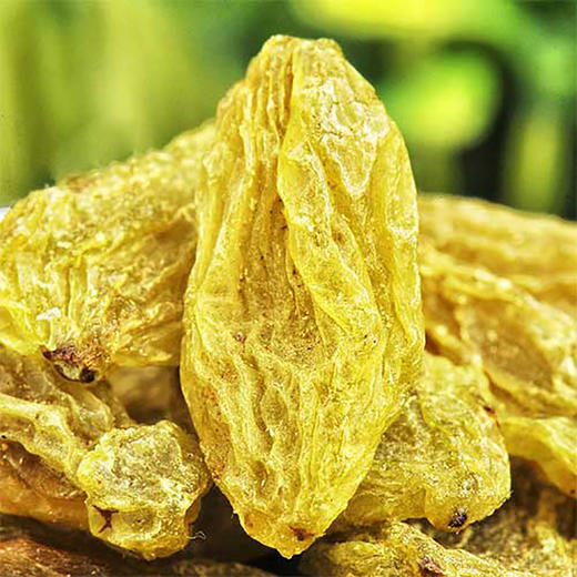 西域果园无核白葡萄干360g 商品图2