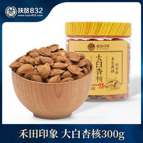 禾田印象大白杏核300g