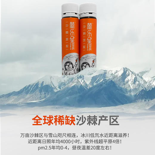棘乐星球沙棘原浆25ml*21支 商品图2