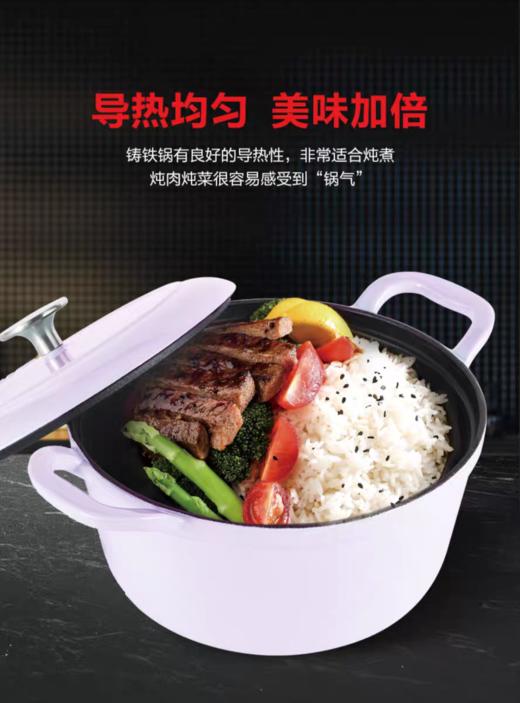 菲仕乐-CALEN食色系列20厘米铸铁锅-白 商品图0