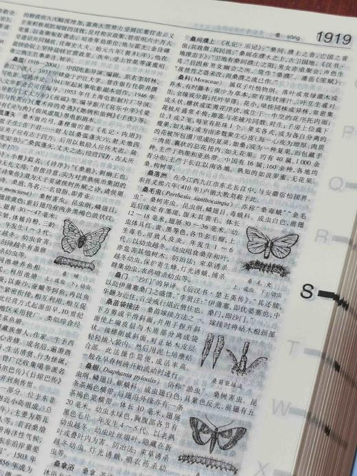 《辞海》第七版缩印本，大16开，精装，陈至立主编，上海辞书出版社2022年一版二印，3488页，定价600，售价240元。 商品图9