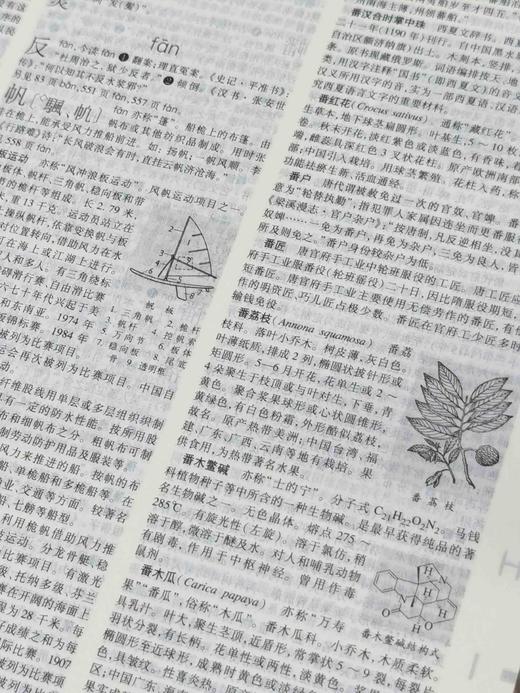 《辞海》第七版缩印本，大16开，精装，陈至立主编，上海辞书出版社2022年一版二印，3488页，定价600，售价240元。 商品图7