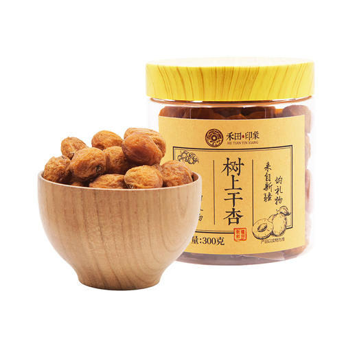 禾田印象树上杏干300g 商品图1