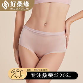HSY 桑蚕丝女高腰内裤全真丝简约舒适透气亲肤无痕三角裤2110