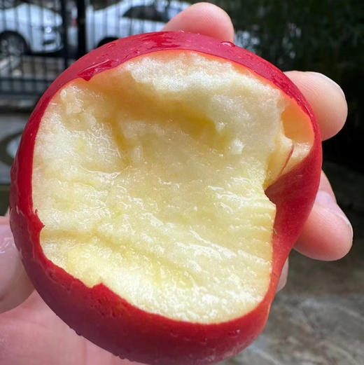 新西兰乐淇火箭小苹果 商品图2