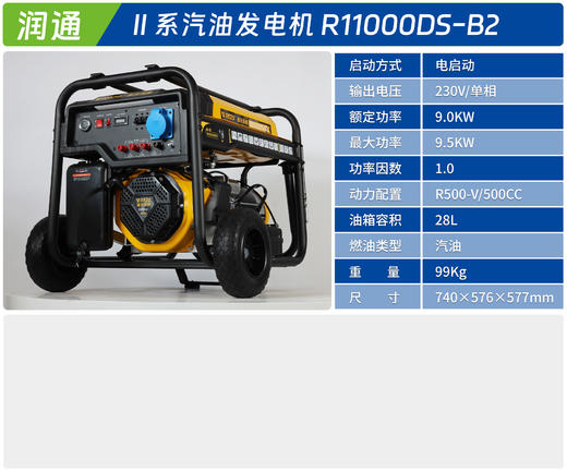 R11000DS-B2 商品图1