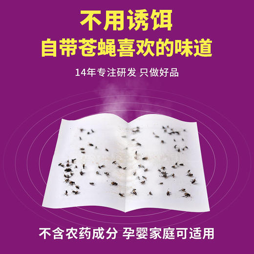 「50片装！升级粘力」苍蝇贴强力粘苍蝇纸板 灭蝇诱杀蝇蚊子药捕捉居家日用一扫光 商品图1