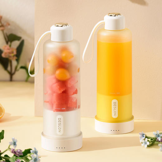 【自营】德世朗榨汁机家用小型便携水果电动榨汁杯果汁机迷你多功能炸果汁 纯白 商品图0