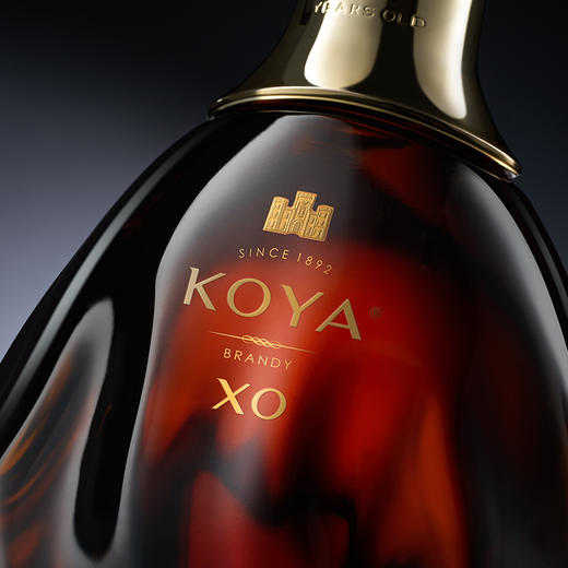 张裕可雅桶藏10年XO级白兰地700ml 商品图2