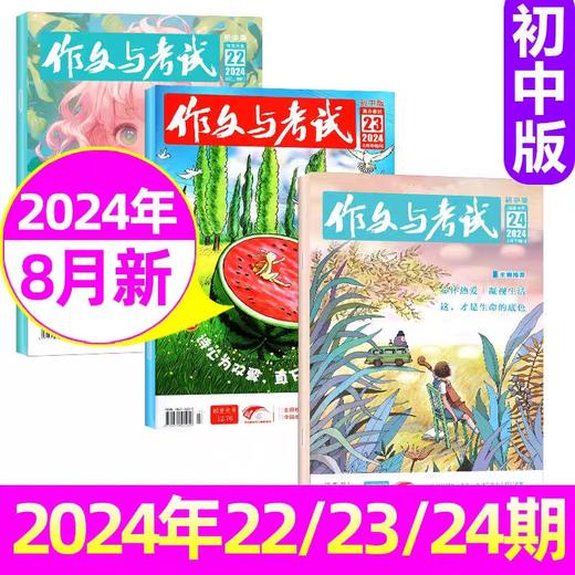 作文与考试【初中版】（每月3本）下旬刊每期附一套中考模拟卷！ 【悦刊图书】 商品图1