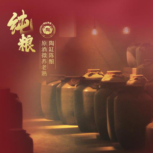 2.5L50度劲牌家方黄精酒 商品图3