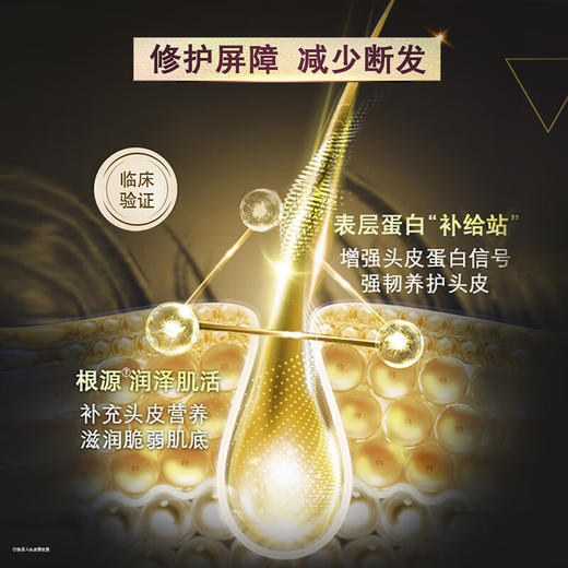 清扬头皮护理强韧丰盈洗发露700G 商品图3