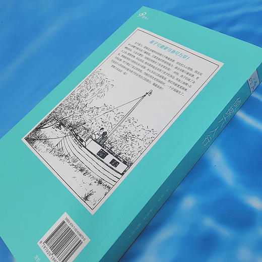 侦探六人行（燕子号与亚马孙号探险系列，英国国宝级儿童探险小说！无数渴望冒险、痴迷想象世界的孩子和大人都因它而扬起心帆！） 商品图3