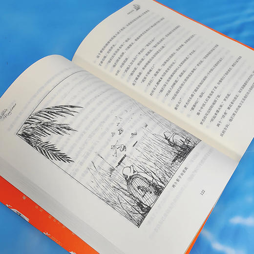 逃离龙虎岛（燕子号与亚马孙号探险系列，英国国宝级儿童探险小说！无数渴望冒险、痴迷想象世界的孩子和大人都因它而扬起心帆！） 商品图5