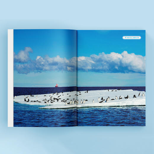 《极地探秘》 商品图6