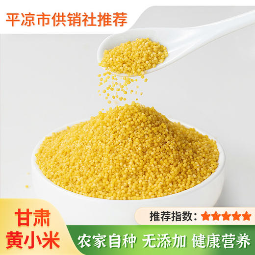 【静宁】黄小米 400g*3袋 农家自种 无添加 健康营养 商品图0