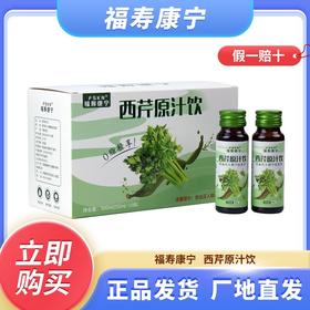 【宁夏海原】西芹原浆500ml/箱（50ml*10瓶）