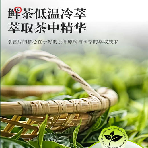 蜜桃乌龙含片含茶制品茉莉花茶含片青提乌龙含片瓶装直播电商代发 商品图1