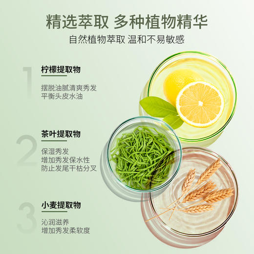 柏缇小苍兰控油去屑洗发露800ml 商品图3