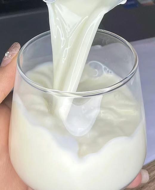 花园新疆牧场纯牛奶200g*10盒 商品图4