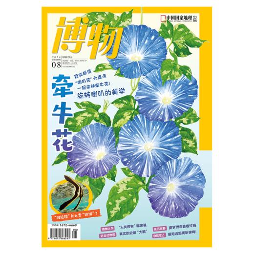 博物杂志 2024年8月刊 牵牛花  精美大拉页 博物大学 青少年科普杂志 商品图1