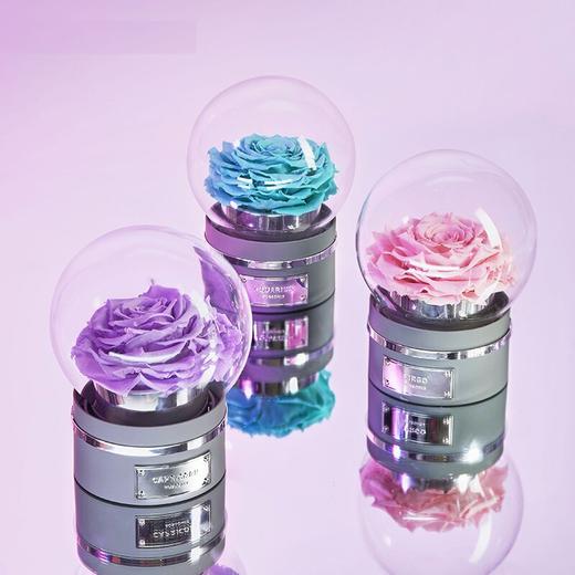 【音乐圆罩】ROSEONLY诺誓 永生玫瑰-音乐系列 悦慕马 十二星座音乐球玫瑰公仔 甜心兔熊猫公仔音乐球礼盒 送女友节日礼物 商品图1