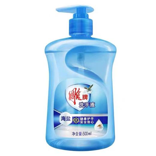 Cg雕牌海盐洗手液500ml-22003016 商品图0