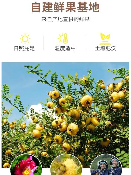 L羿宫坊冰刺梨汁200ml 商品图3