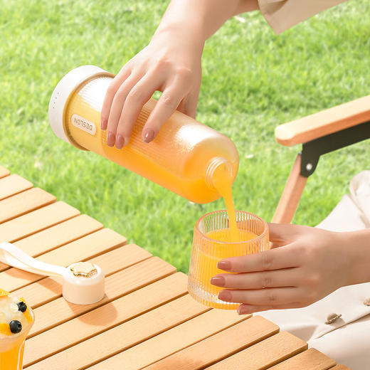 【自营】德世朗榨汁机家用小型便携水果电动榨汁杯果汁机迷你多功能炸果汁 纯白 商品图9