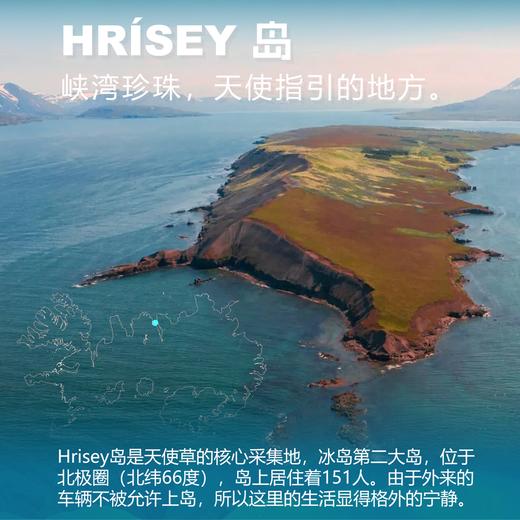 【Romi专属】VOXIS 冰岛欧白芷润喉糖 80g/2/4袋组合 商品图1