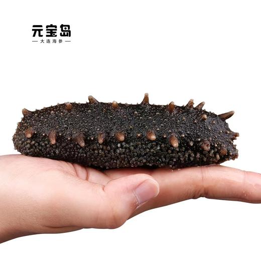 【盟友精选】即食海参 |500g |免泡发 易储存！顺丰包邮！云南/新疆/西藏/甘肃/港澳台以及自治区不发货 商品图0