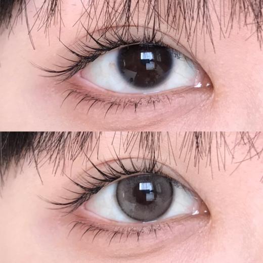 bariecat日抛 小金豆/小奶豆 14.2mm 棕/灰 有同款年抛 日抛无售后！！ 商品图6