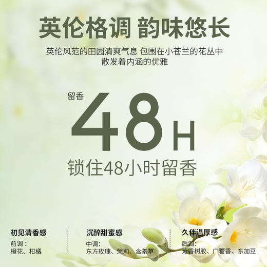 柏缇小苍兰控油去屑洗发露800ml 商品图6