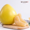 梅州白心蜜柚•泊心风物 商品缩略图1