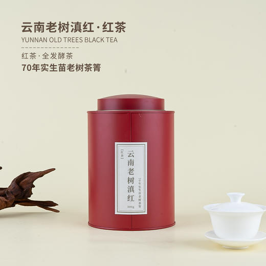 【花香馥郁 甜润味厚 老树滇红更暖心】云南滇红凤凰山70年实生苗老树一芽二叶 100克/盒 商品图4