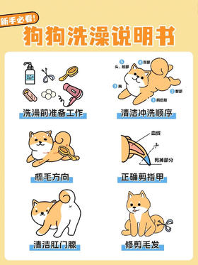 宠物狗洗护全流程