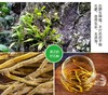 L杨栈记臻选石斛条100g 商品缩略图2