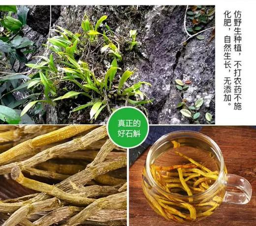L杨栈记臻选石斛条100g 商品图2