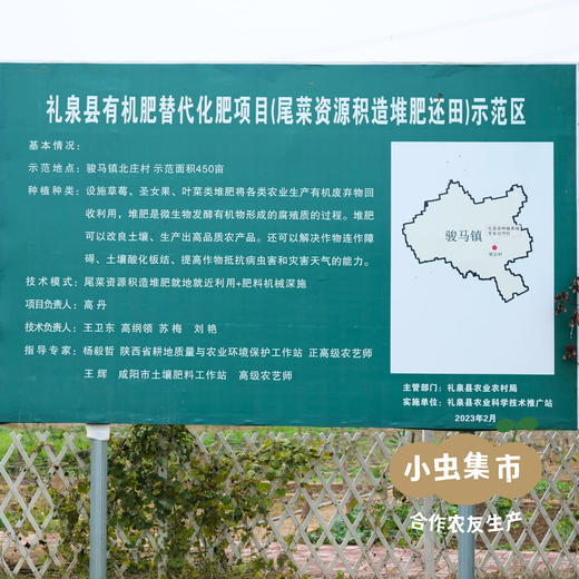 沃野青青生态蔬菜丰产自选包 4斤（1-4种）  | 合作农友生产，产自陕西咸阳，生产者：郑力行*【公平贸易农人定价】 商品图8