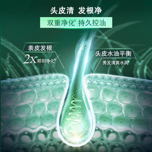 清扬头皮护理控油焕活洗发露480G 商品图4