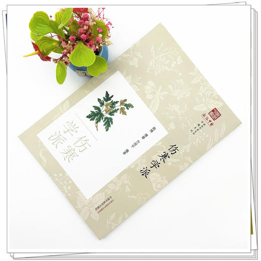 伤寒学派 陈博 傅睿 竹剑平 编著 《浙派中医丛书》专题系列 中国中医药出版社 商品图1