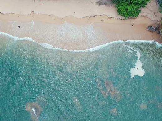 氧气旅行团—“乐在当夏”香港行 商品图4